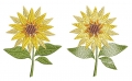 Bild 6 von Stickdatei Sonnenblume